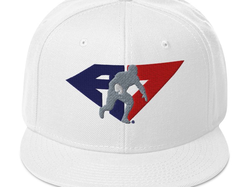 A7FL RWB Icon Snapback Hat