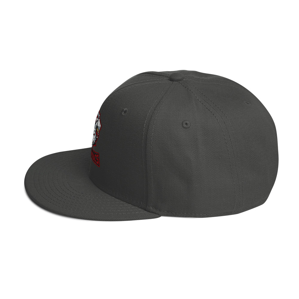 snapback-charcoal-gray-left-side-6a3812cc11299.jpg