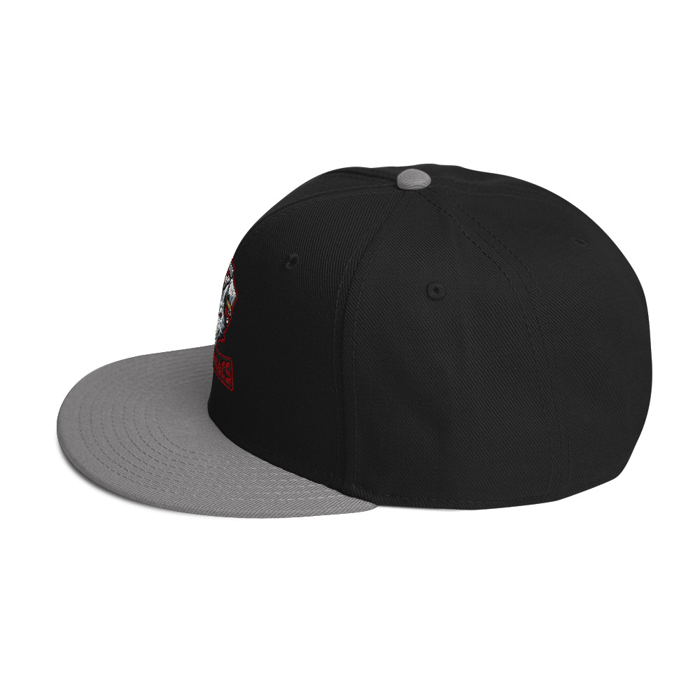 snapback-gray-black-black-left-side-6a3812cc0f3fd.jpg
